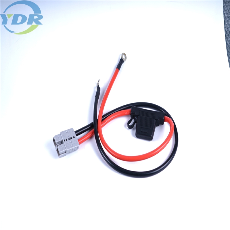 Úim Sreang Custom Anderson